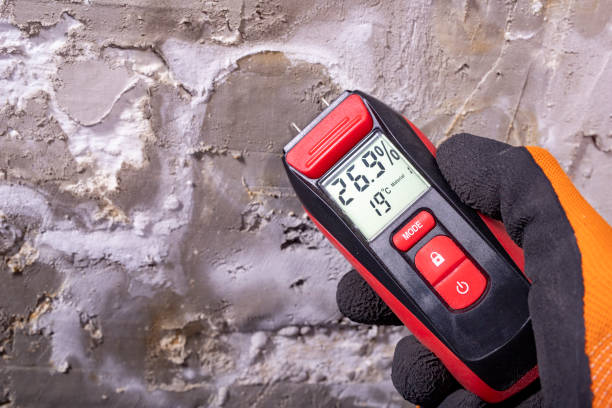 Best Residential Mold Removal  in Estacada, OR
